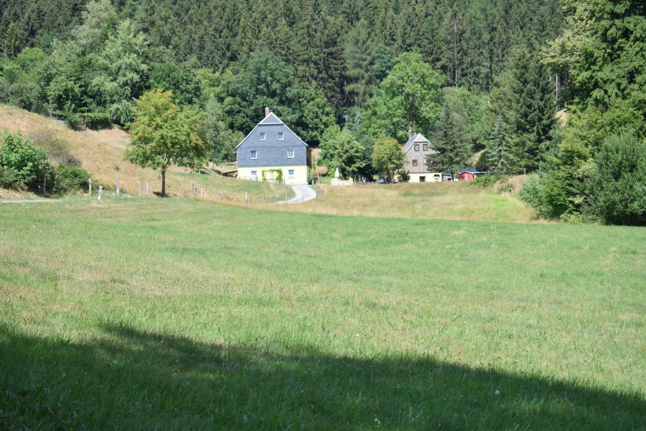 Ferienwohnung Waldmuehle Saupsdorf Eksteriør bilde